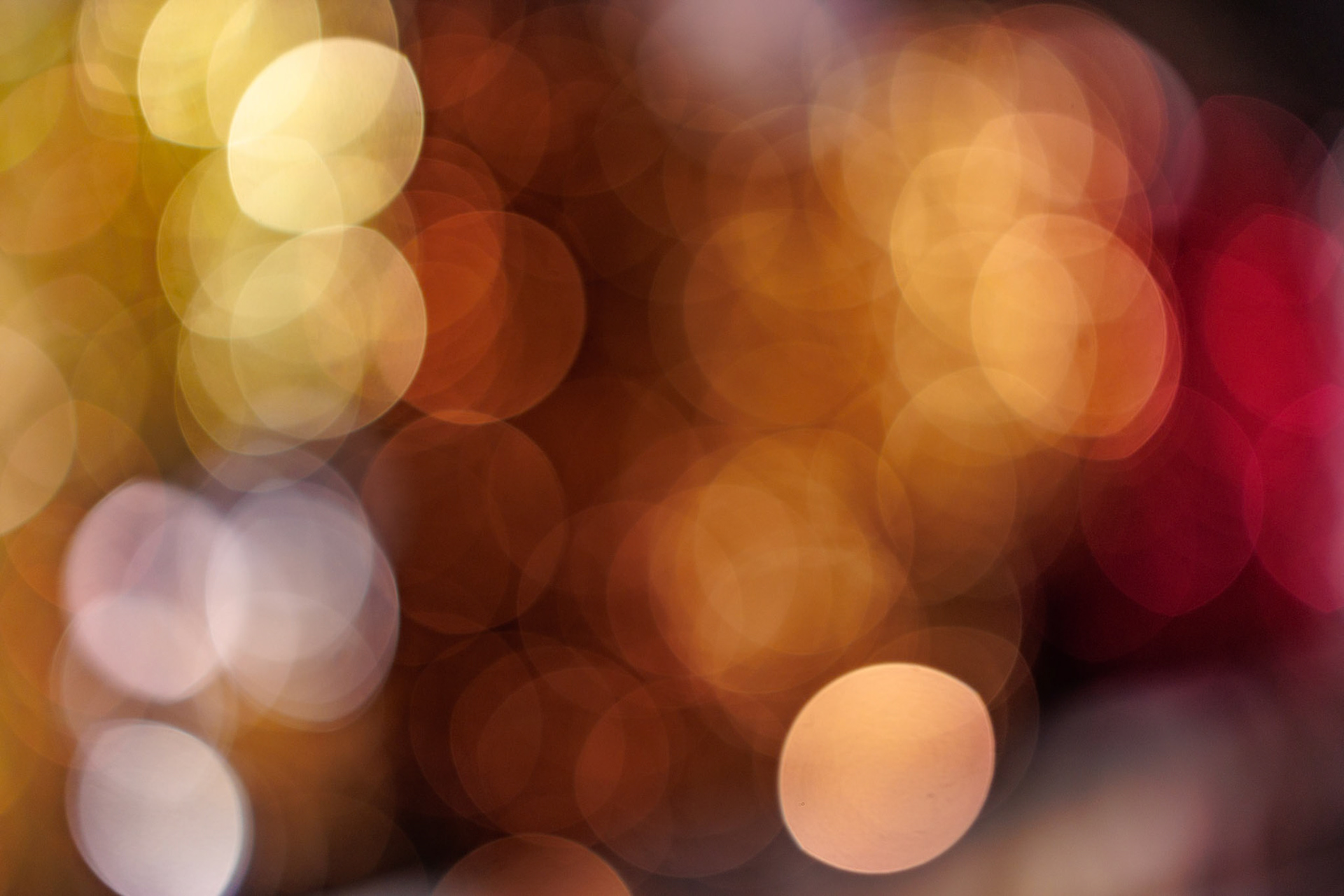 serie kerstboompjes handmatig uit focus gedraaid