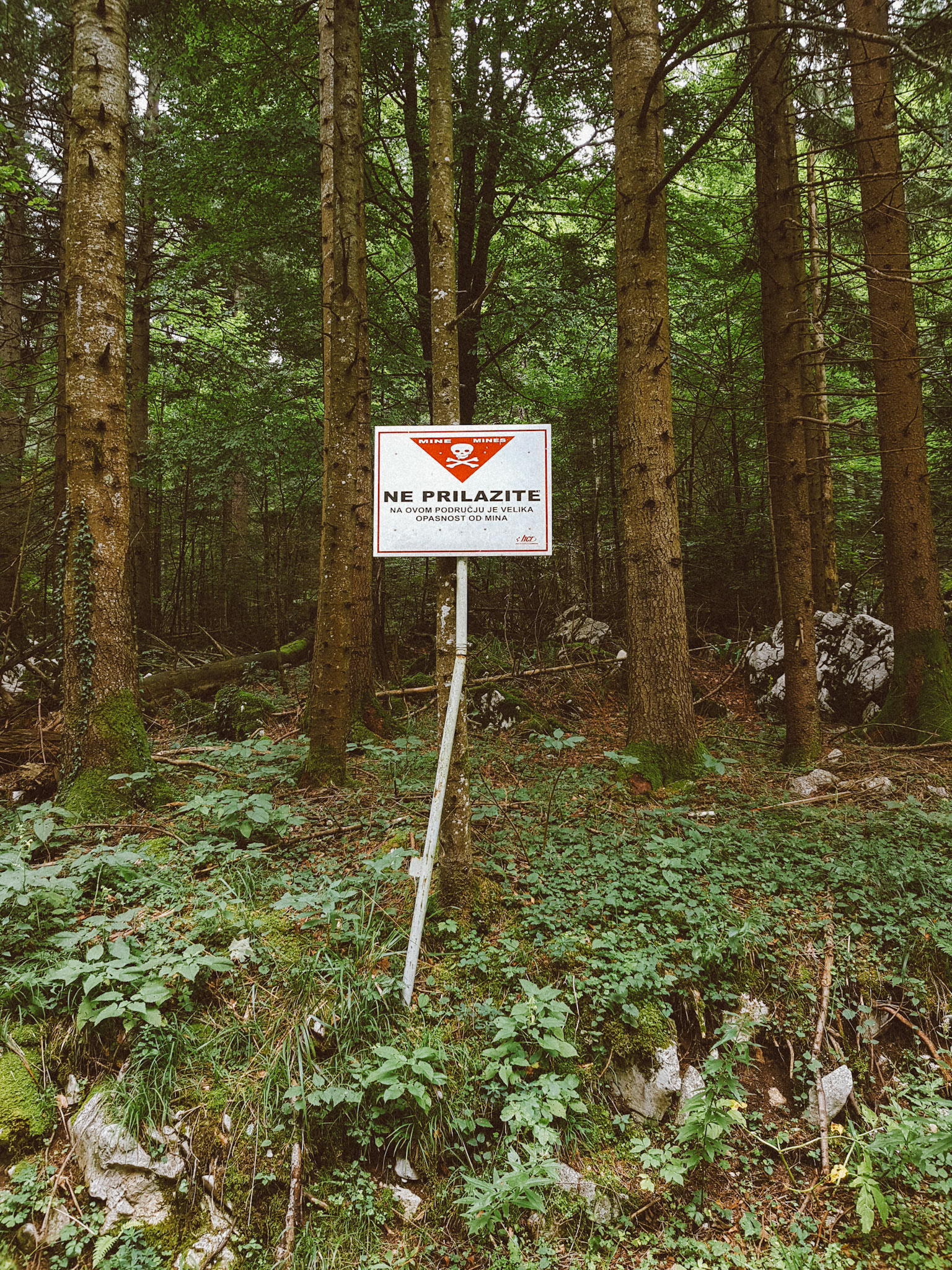 Minefield