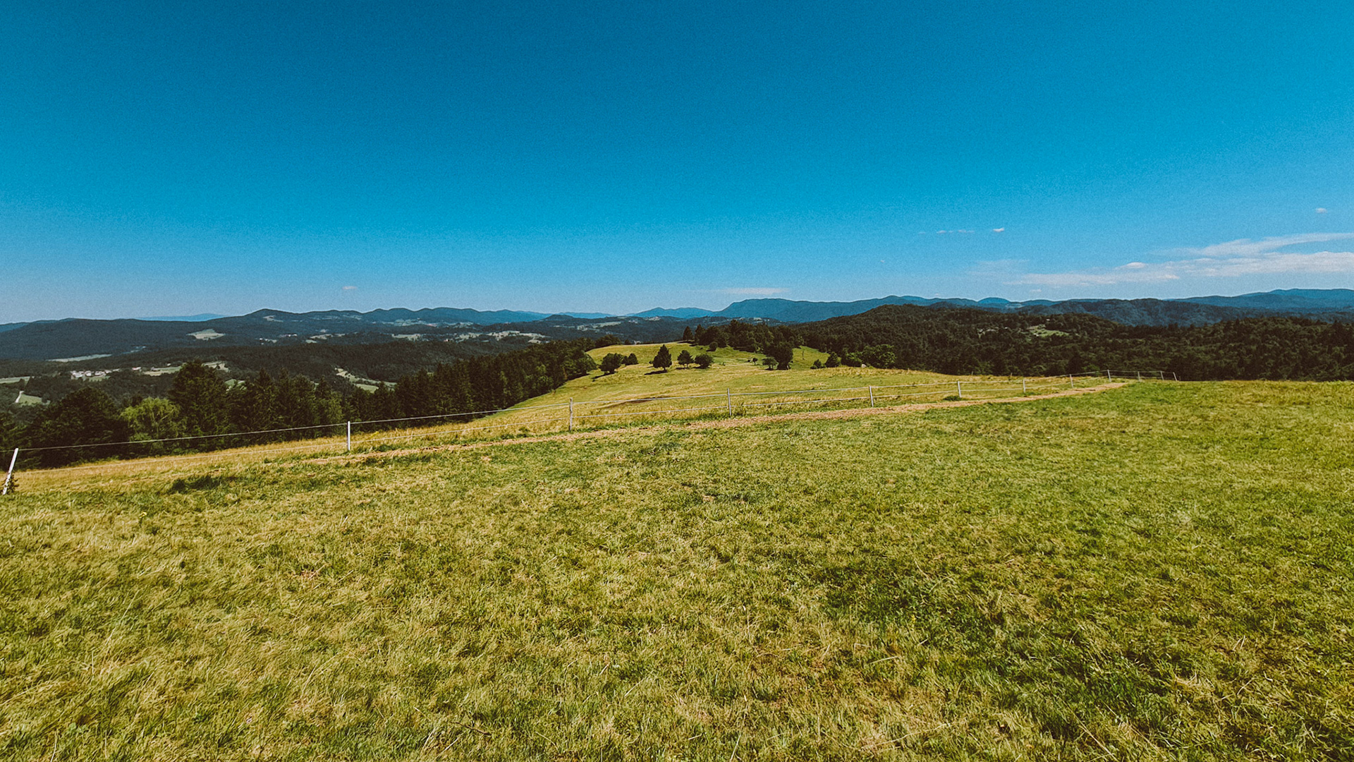 Green and vibrant Slovenia.