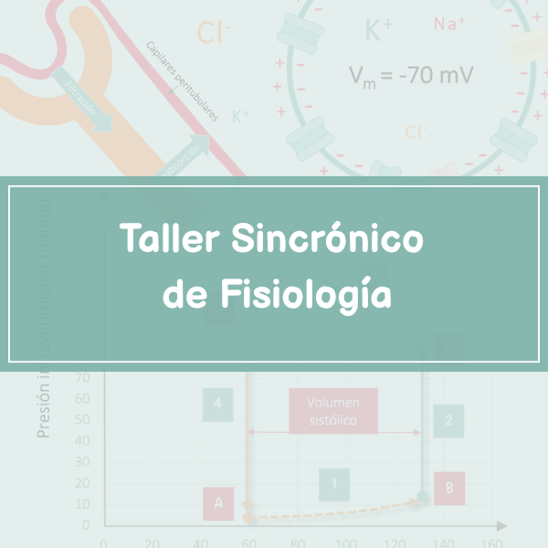 TALLER SINCRÓNICO DE FISIOLOGÍA