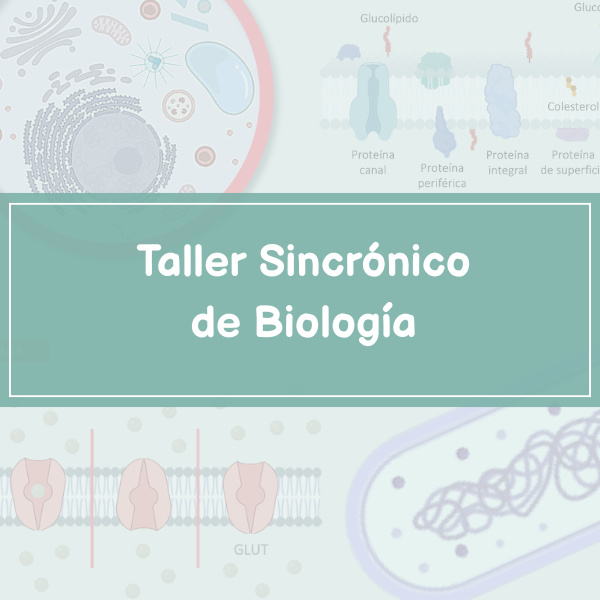 TALLER SINCRÓNICO DE BIOLOGÍA