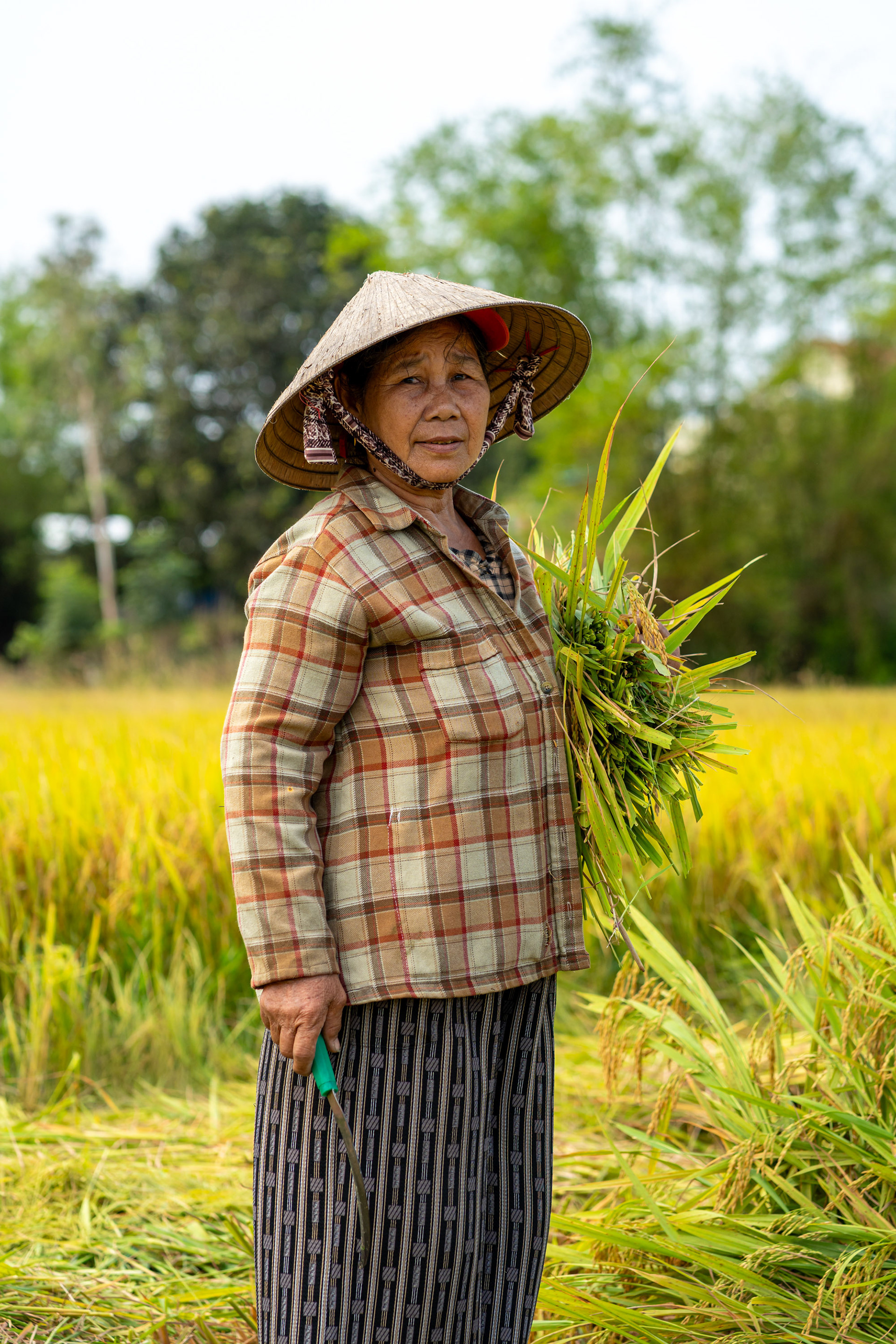 Duy Nghĩa — rice farmer