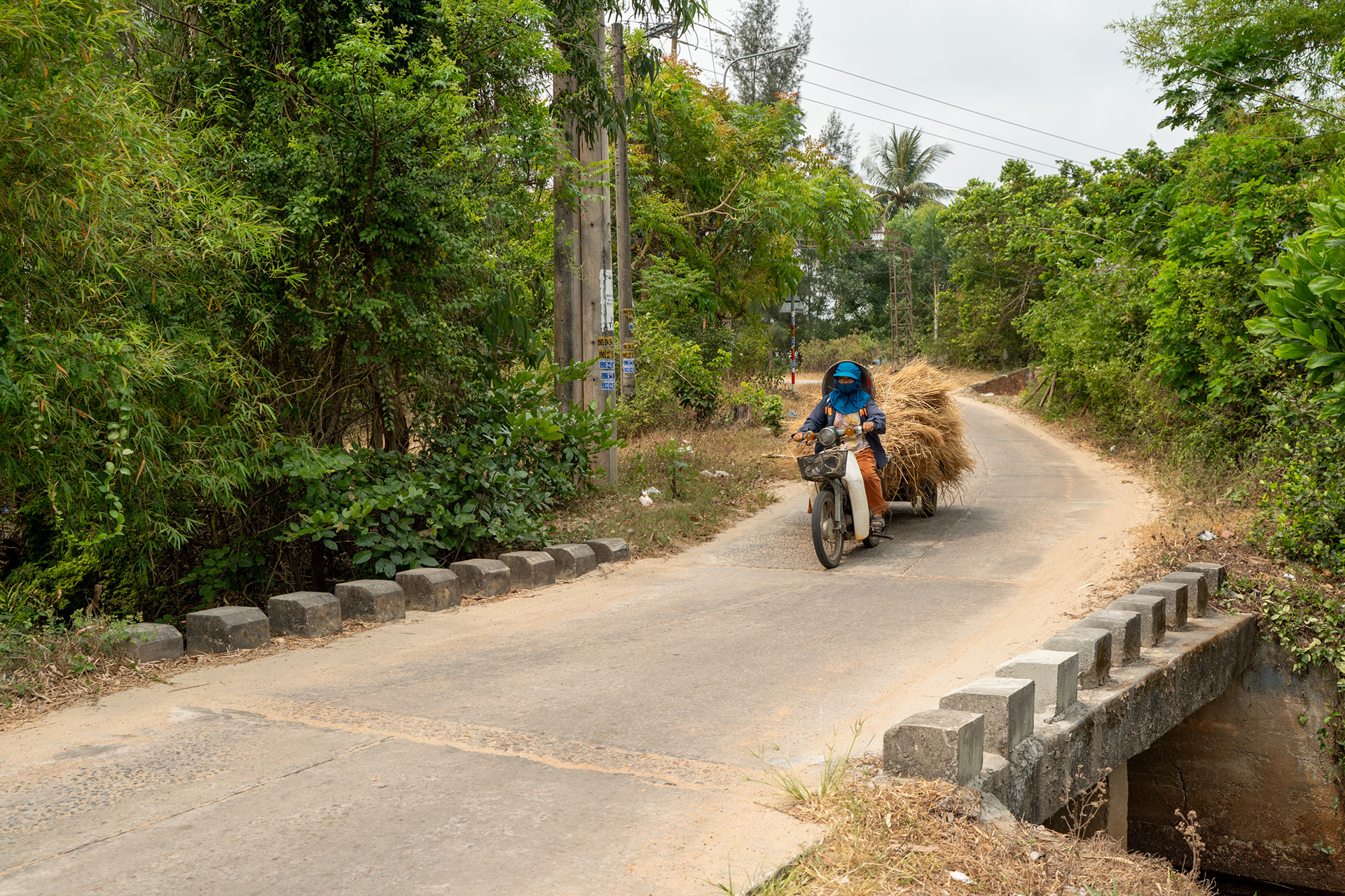  Motorbike carrying large bundle of harvested hay along rural road in Duy Nghĩa near Hoi An