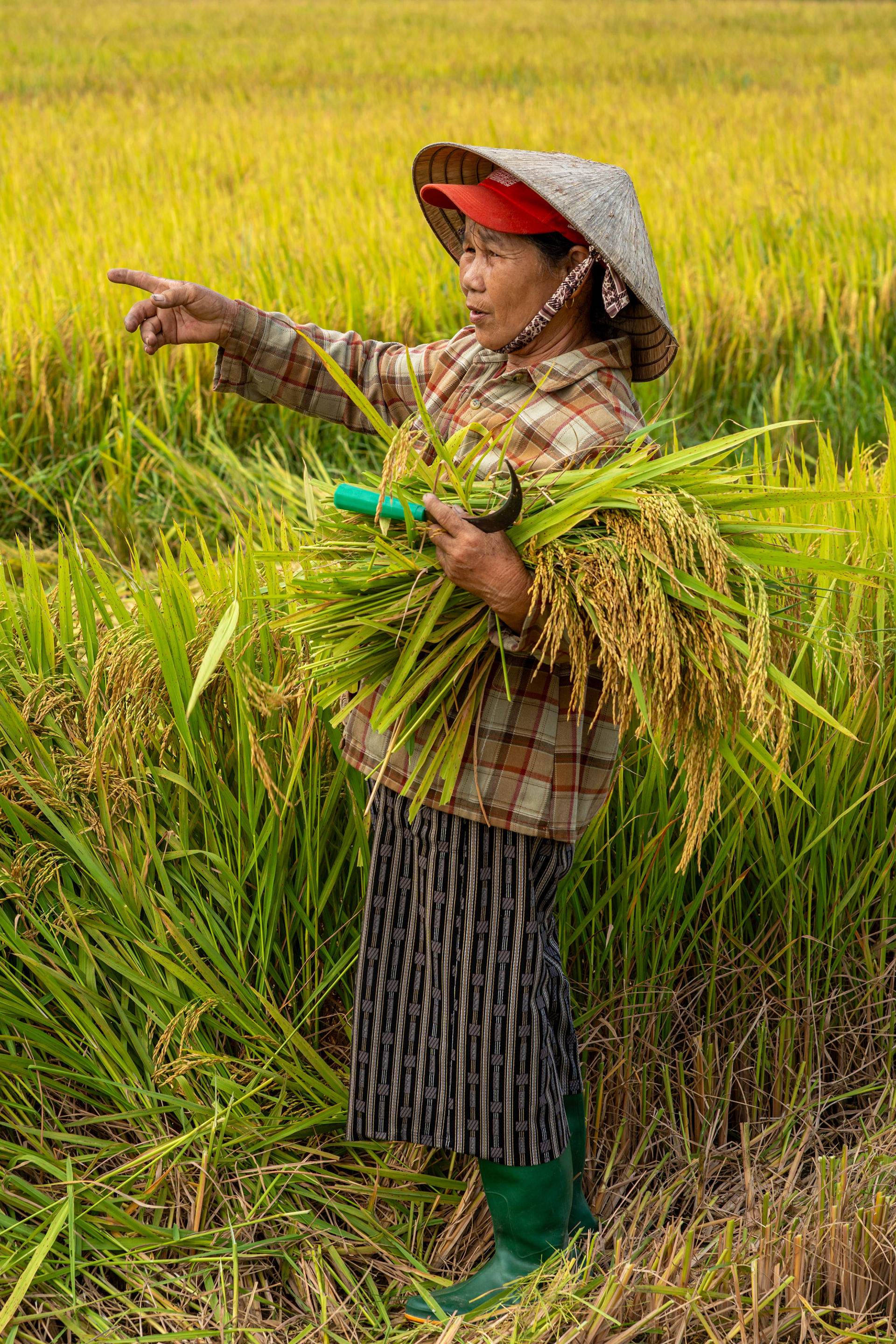 Thăng An — field work