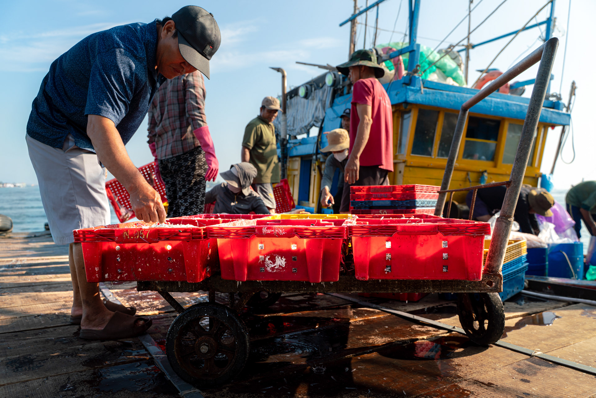Workers sorting fresh fish in red crates near Hoi An harbour.