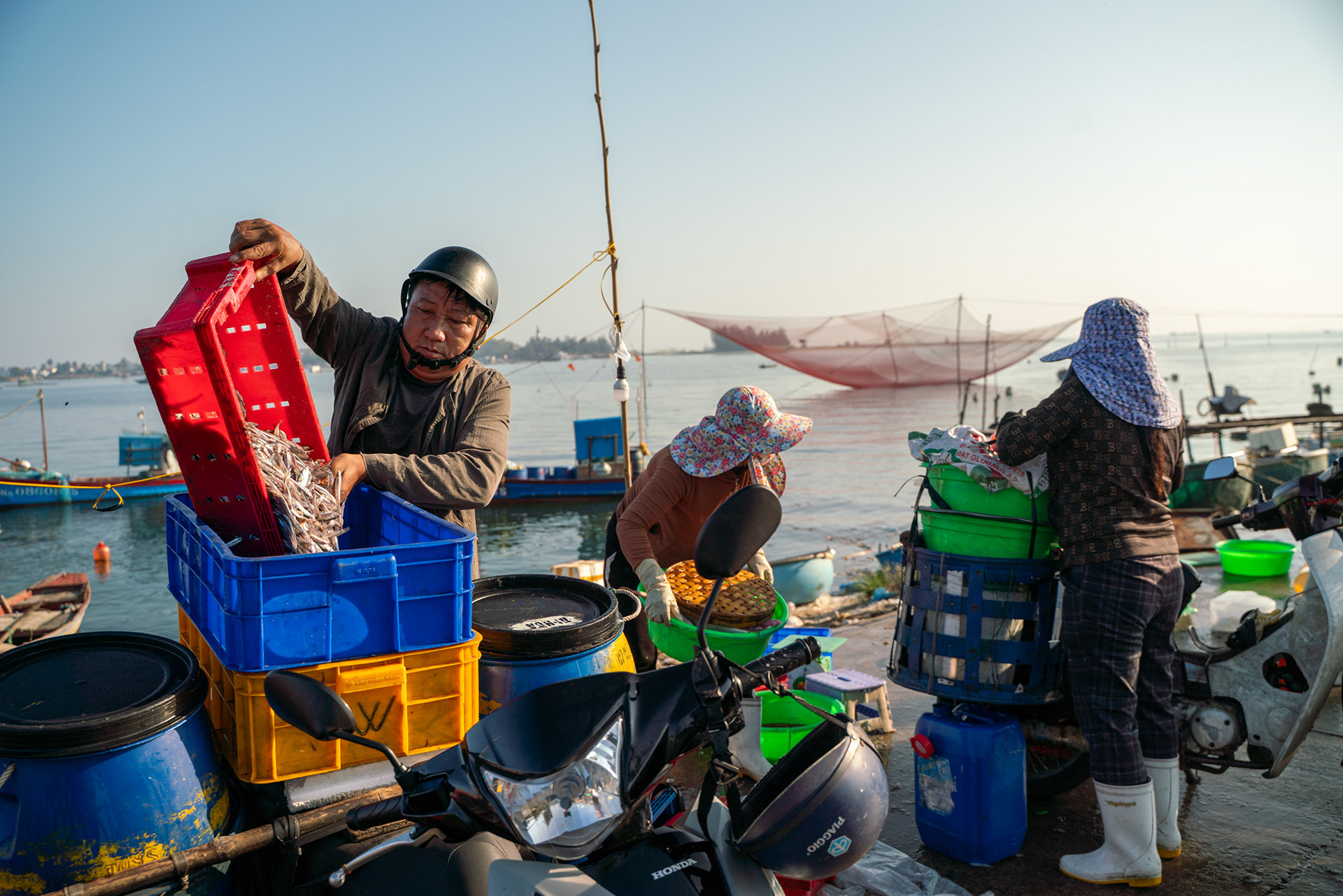 Workers unloading fresh fish beside the river near Hoi An, Vietnam.