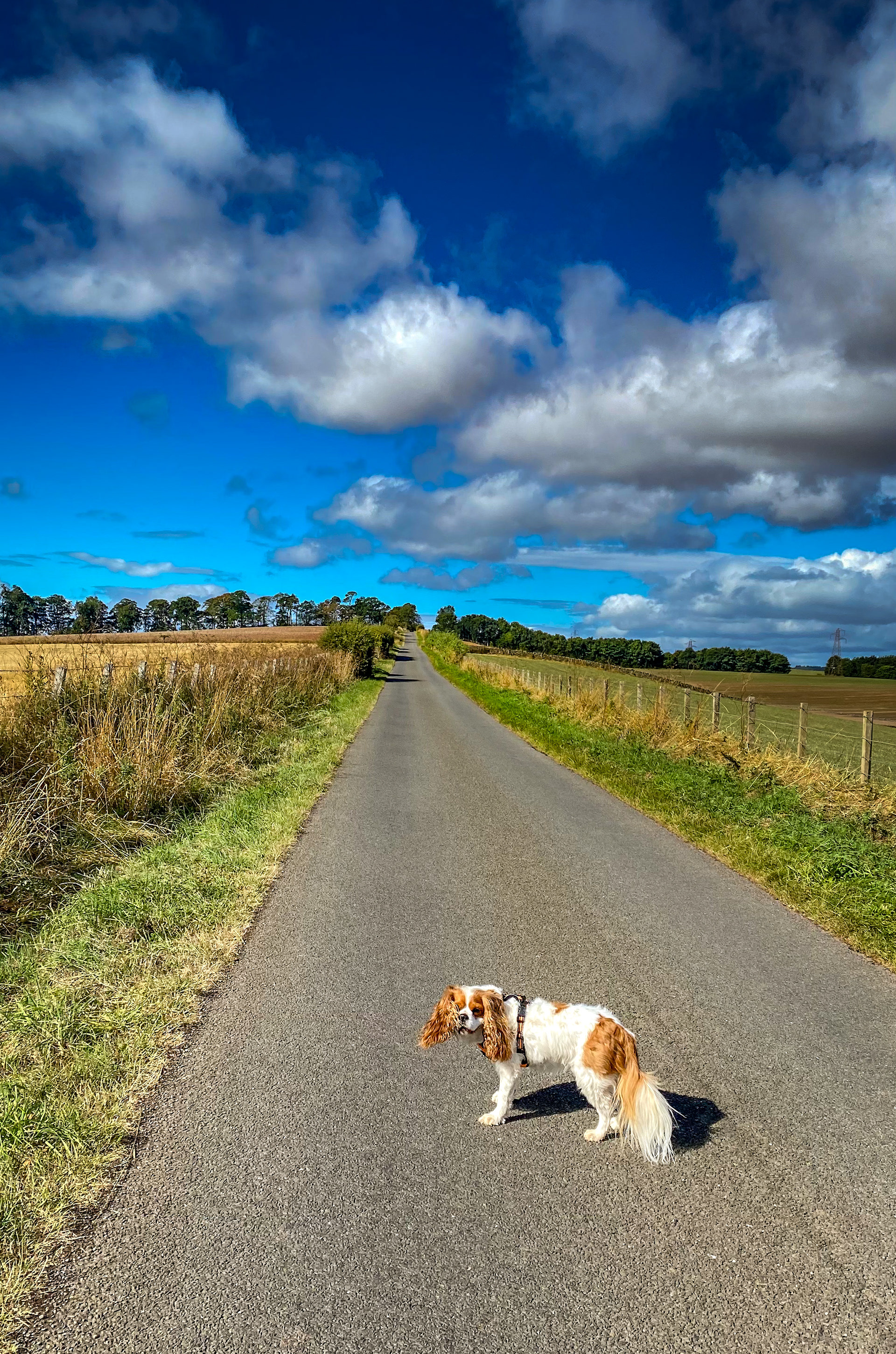 Fans Farm, Earleston, Sco