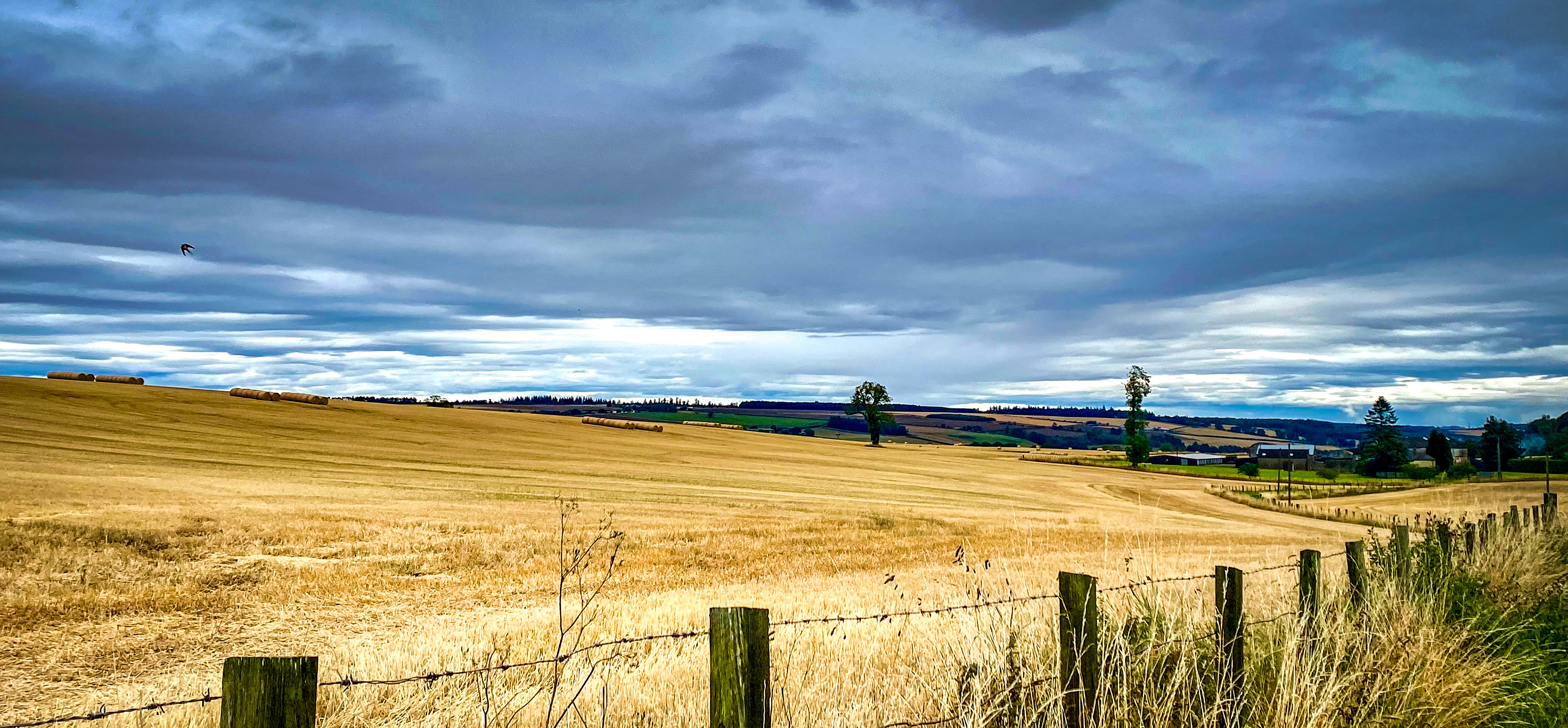 Leadketty Farm, Perth, Sco