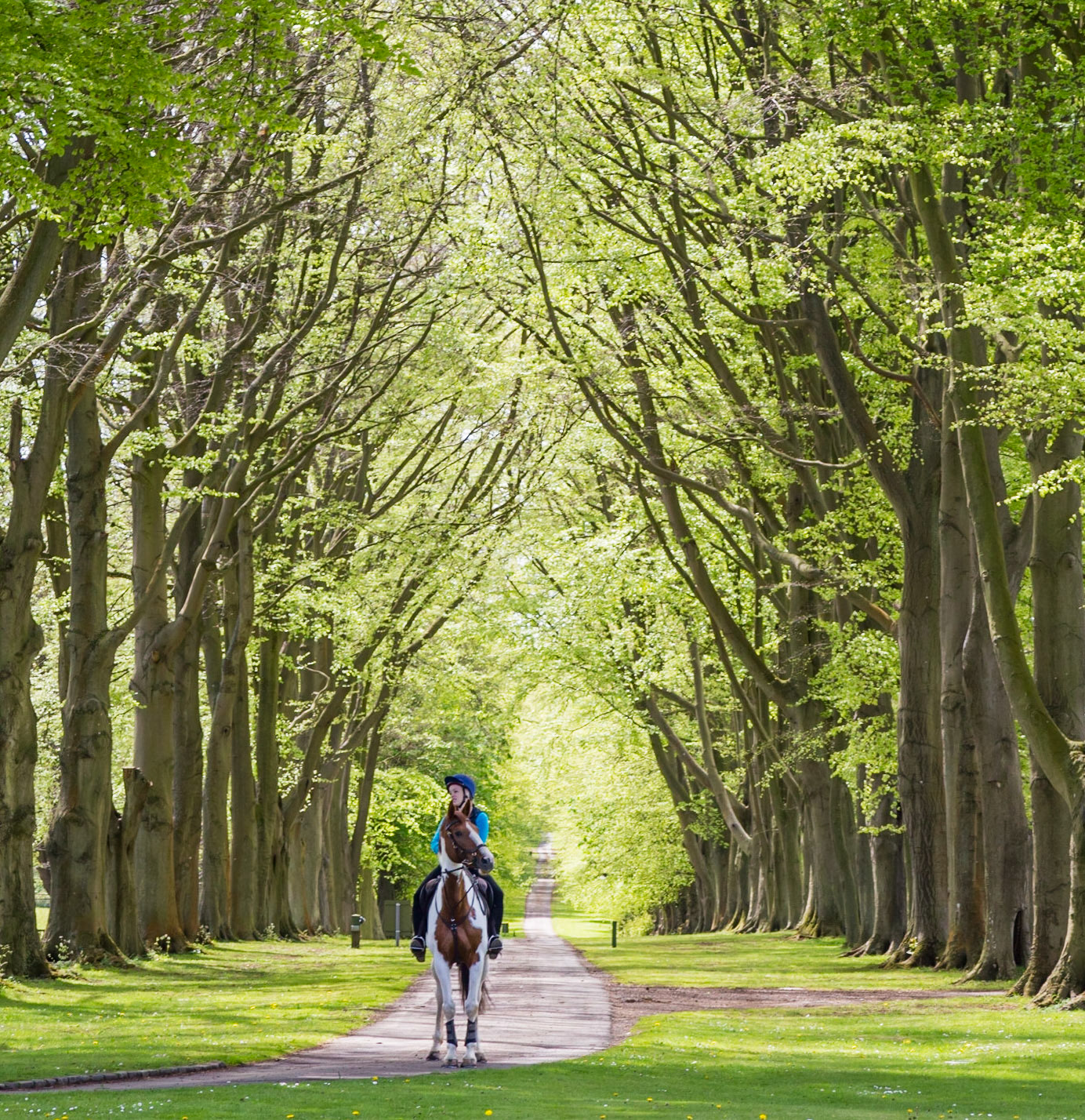 Lucknam Park, Scotland