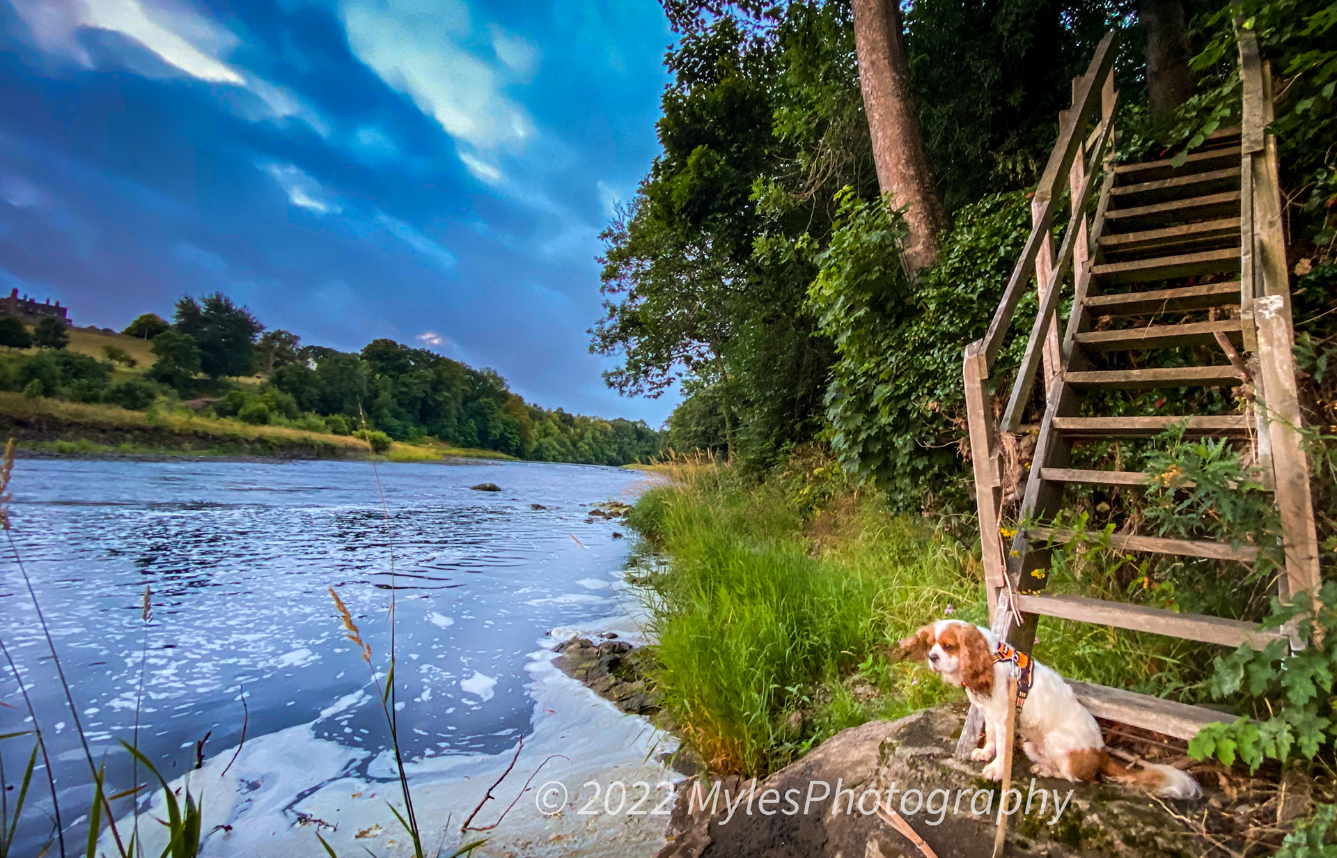 Riverside walk, Dryburgh