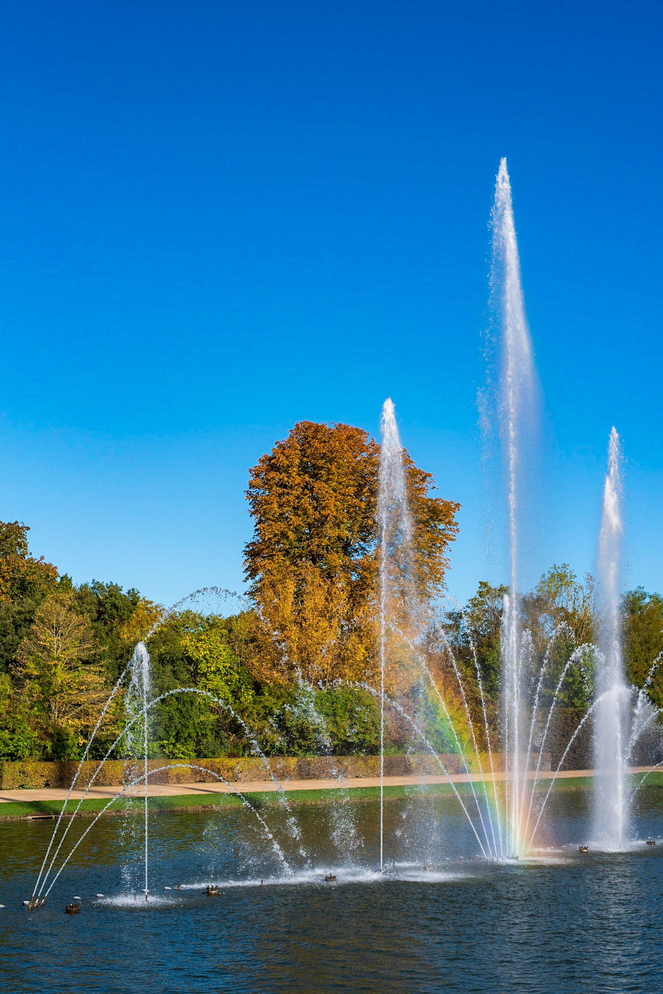 Jardins du Château de Versailles, un matin d'automne