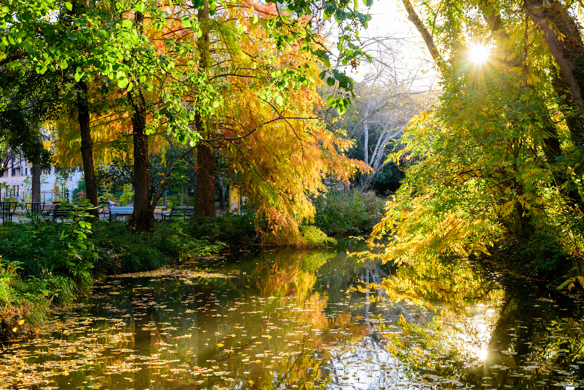 Lever du jour dans les jardins de Compans-Caffarelli