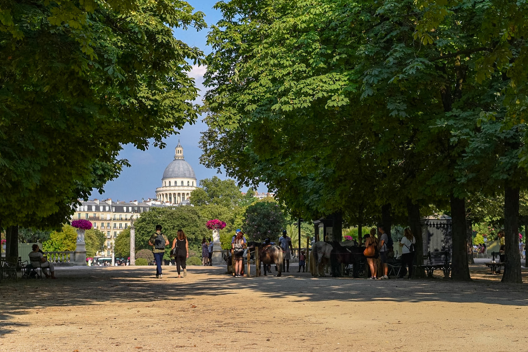 Agréable promenade dans le Jardin du Luxembourg à l'été 2018
