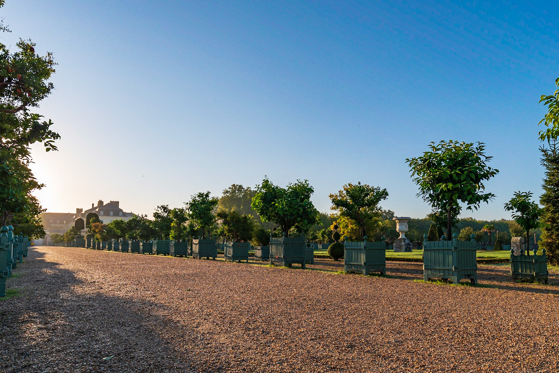 Jardins du Château de Versailles, un matin d'automne