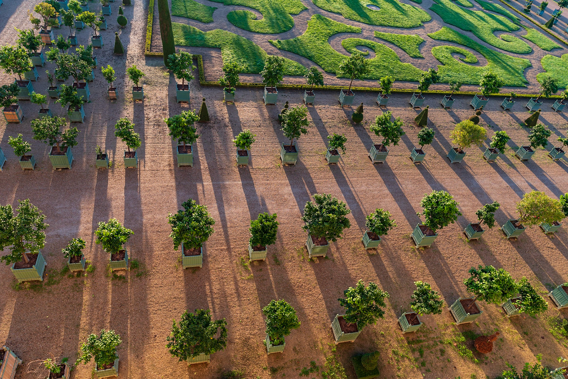 Jardins du Château de Versailles, un matin d'automne