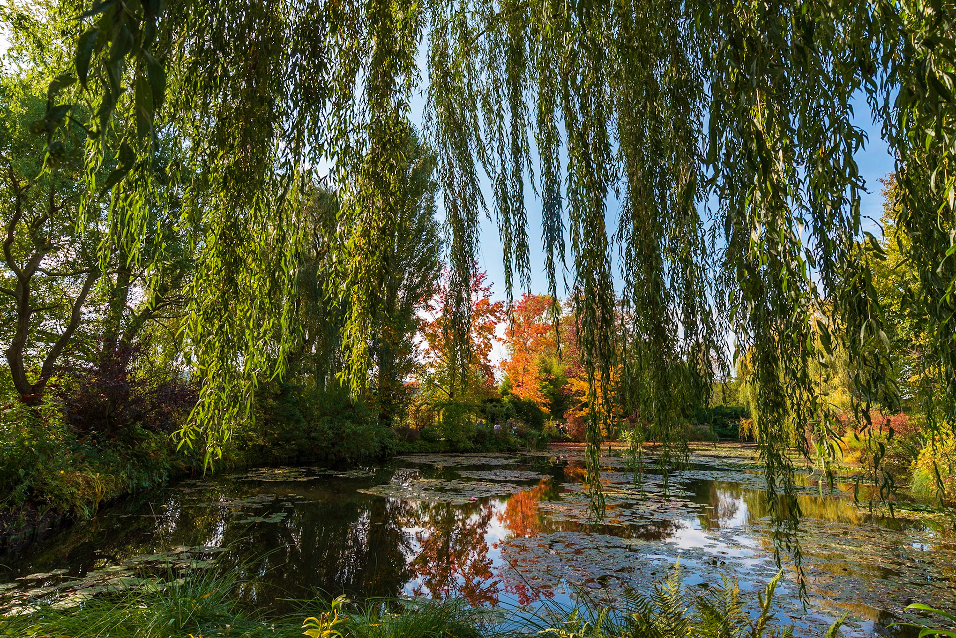Les Jardins de la Fondation Claude Monet à Giverny, au couleurs de l'automne 2018