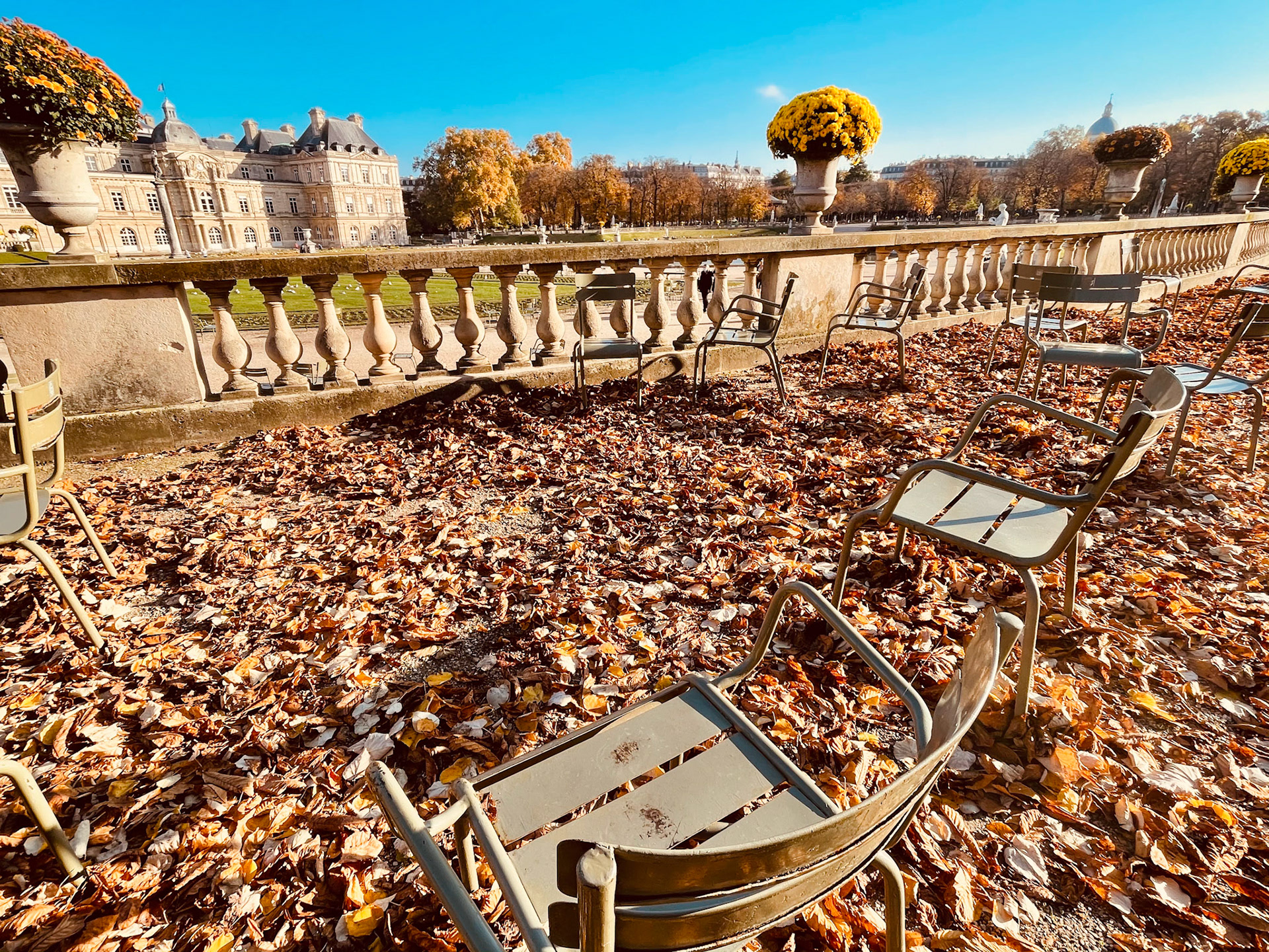 31 octobre : ☀️🍁