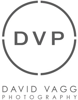 David Vagg