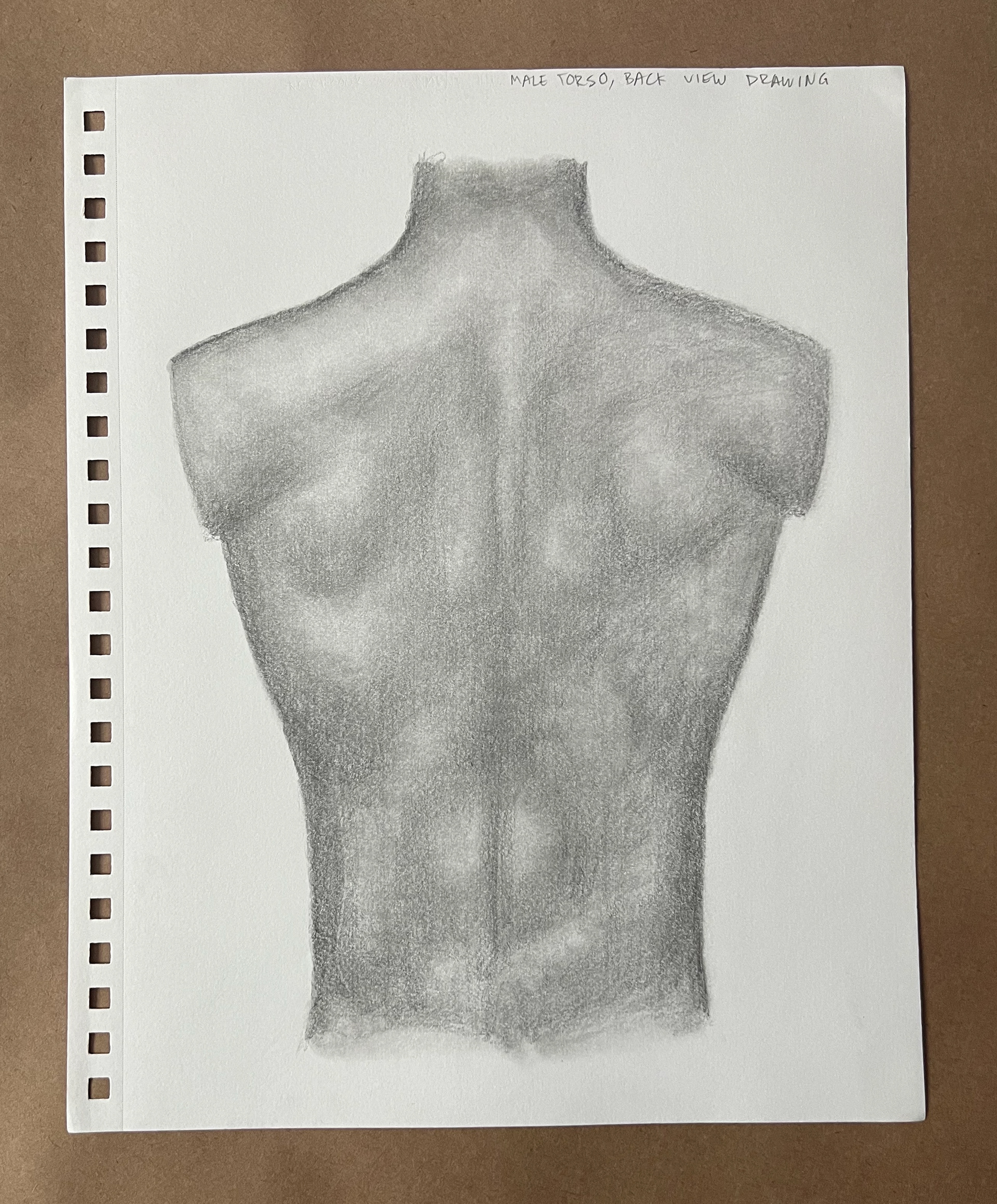 Torso Back View, Graphite and Charcoal on Paper, 2023