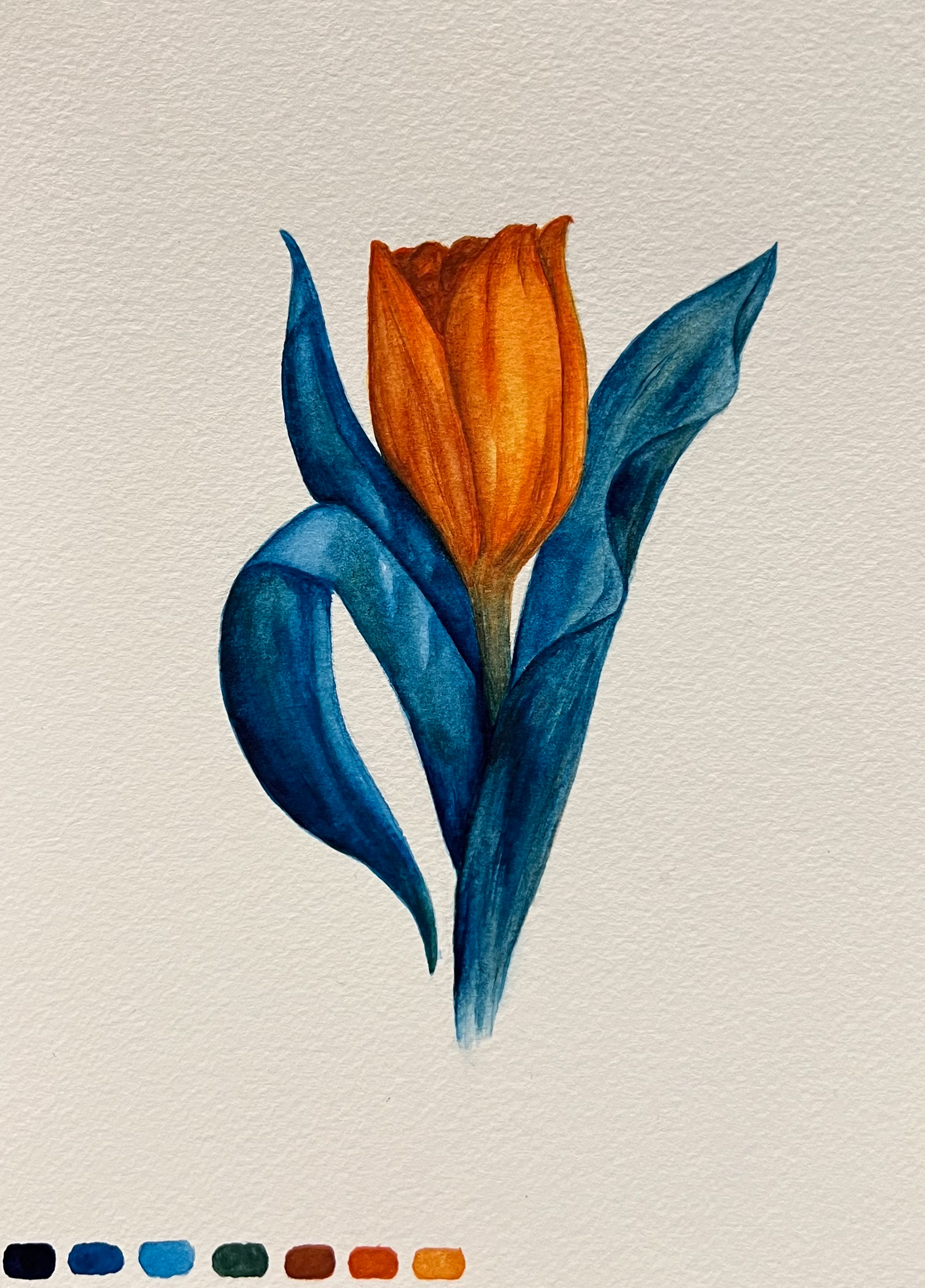 Tulip, Watercolor on Paper, 2022