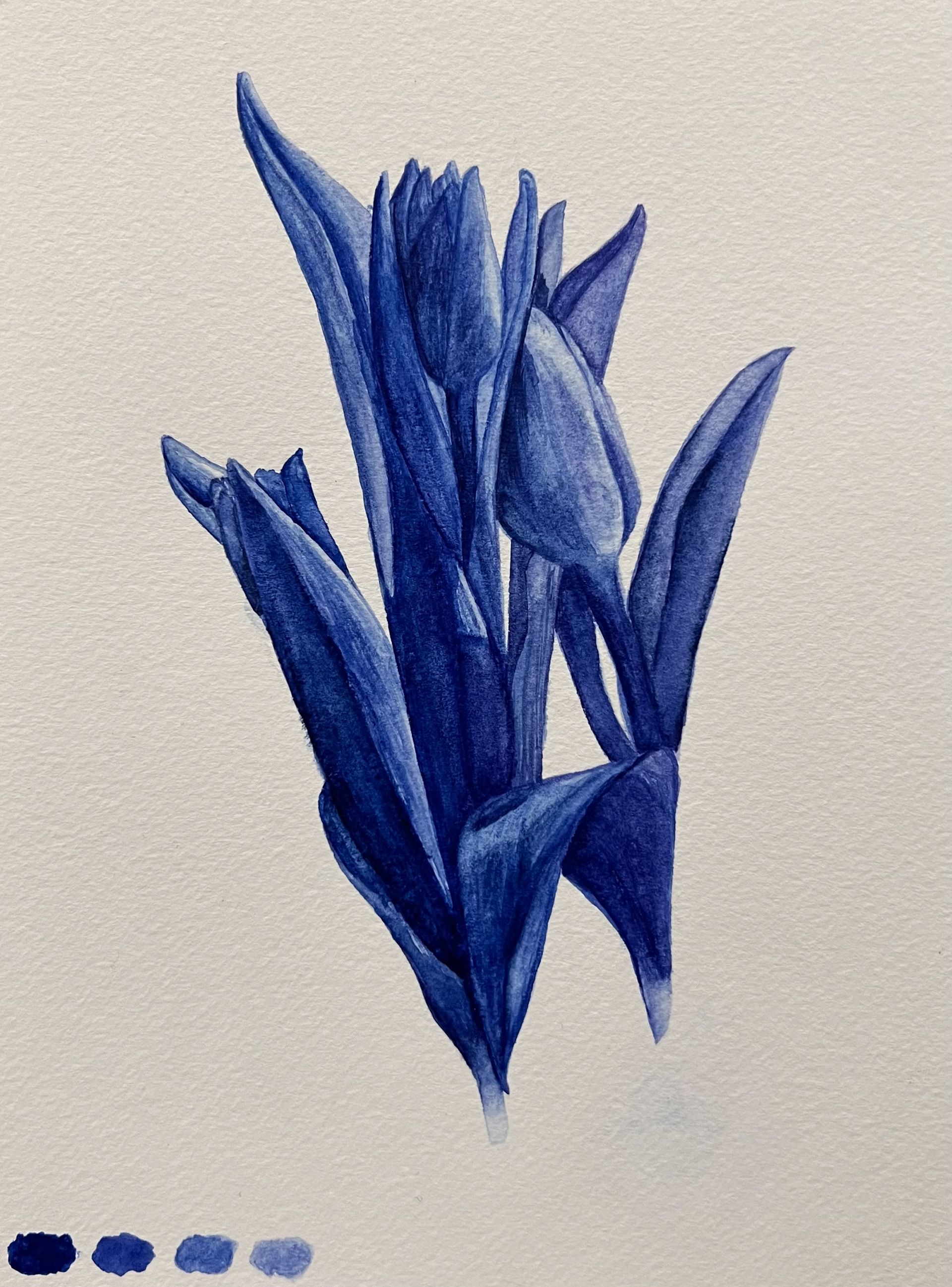 Tulips, Watercolor on Paper, 2022