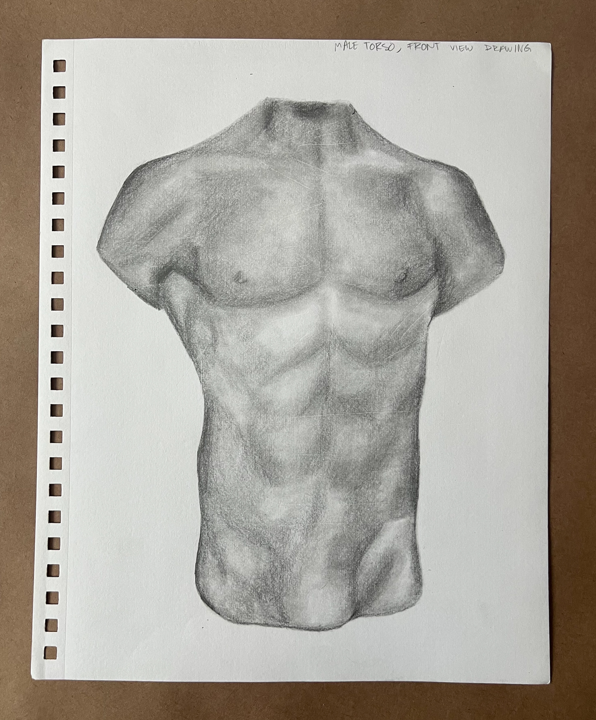 Torso Front View, Graphite and Charcoal on Paper, 2023