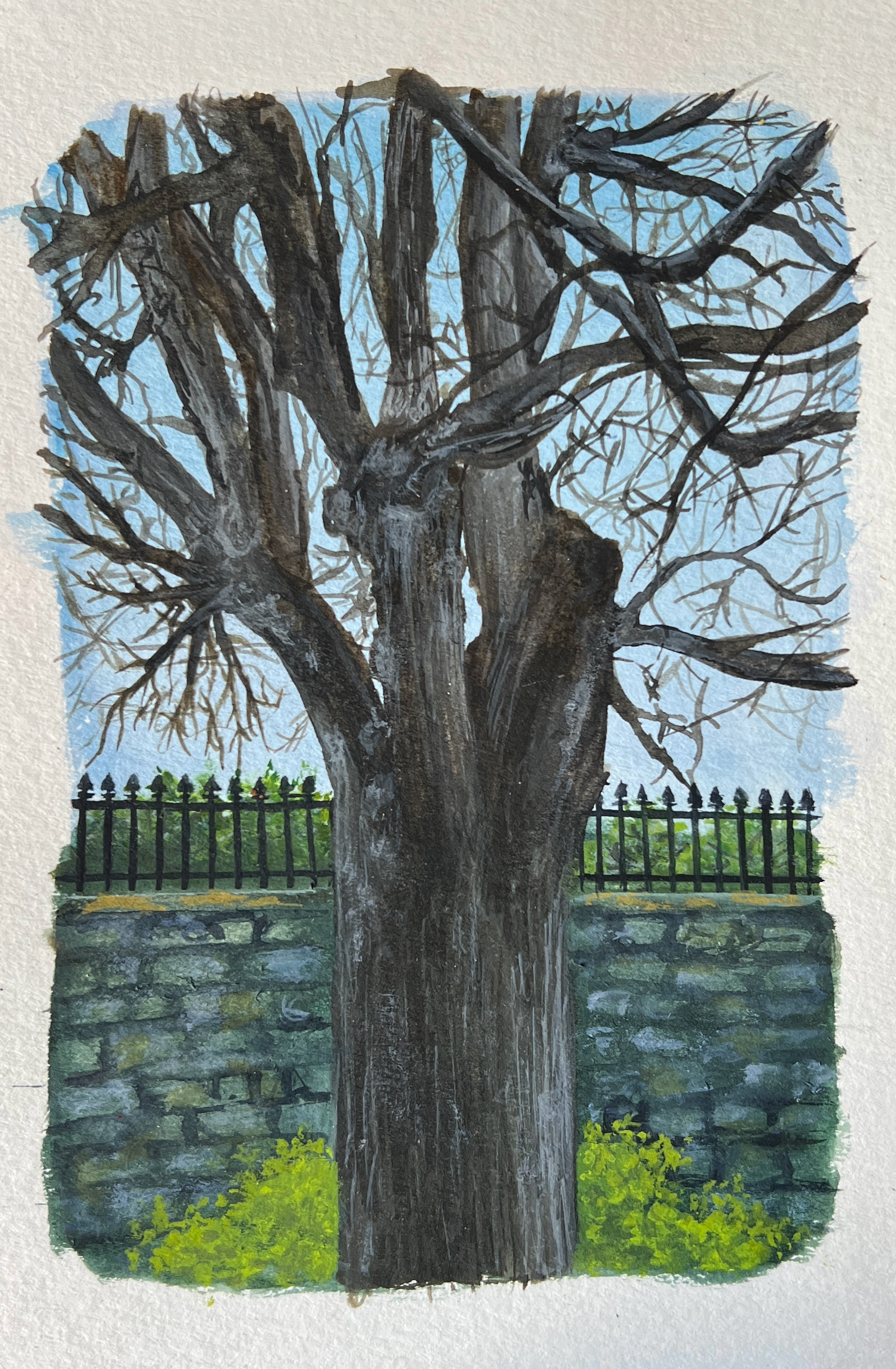 Page from "Lacoste Travel Portfolio," 2024