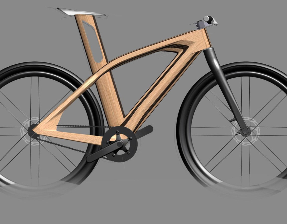 Eric Stoddard - Wood Bike