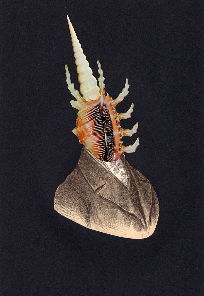 Fabulous Monster 01 . AR remixer ilan k