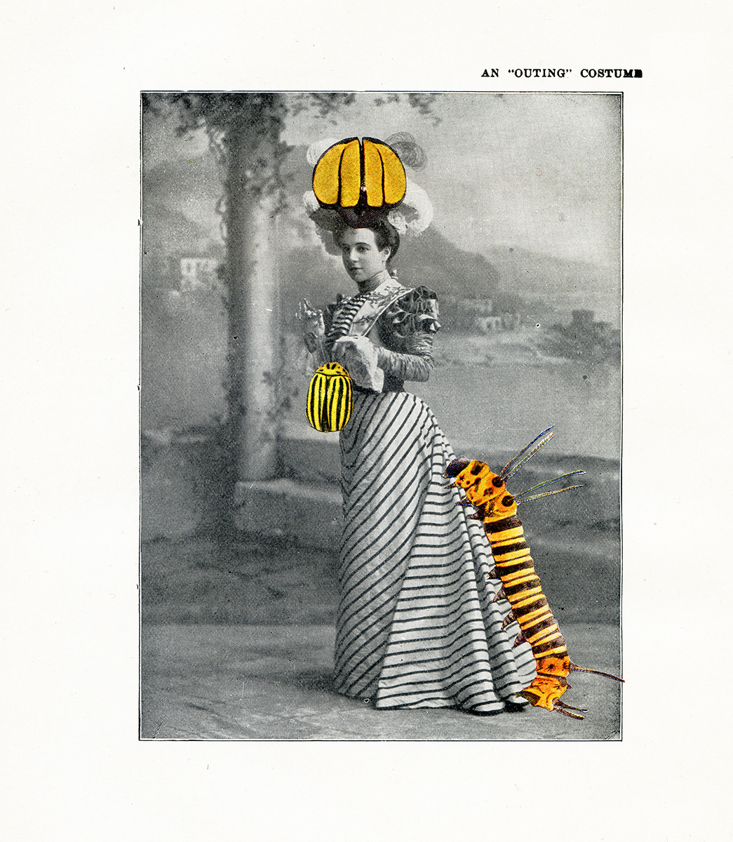 Actresses and Insects . Portland . 2012