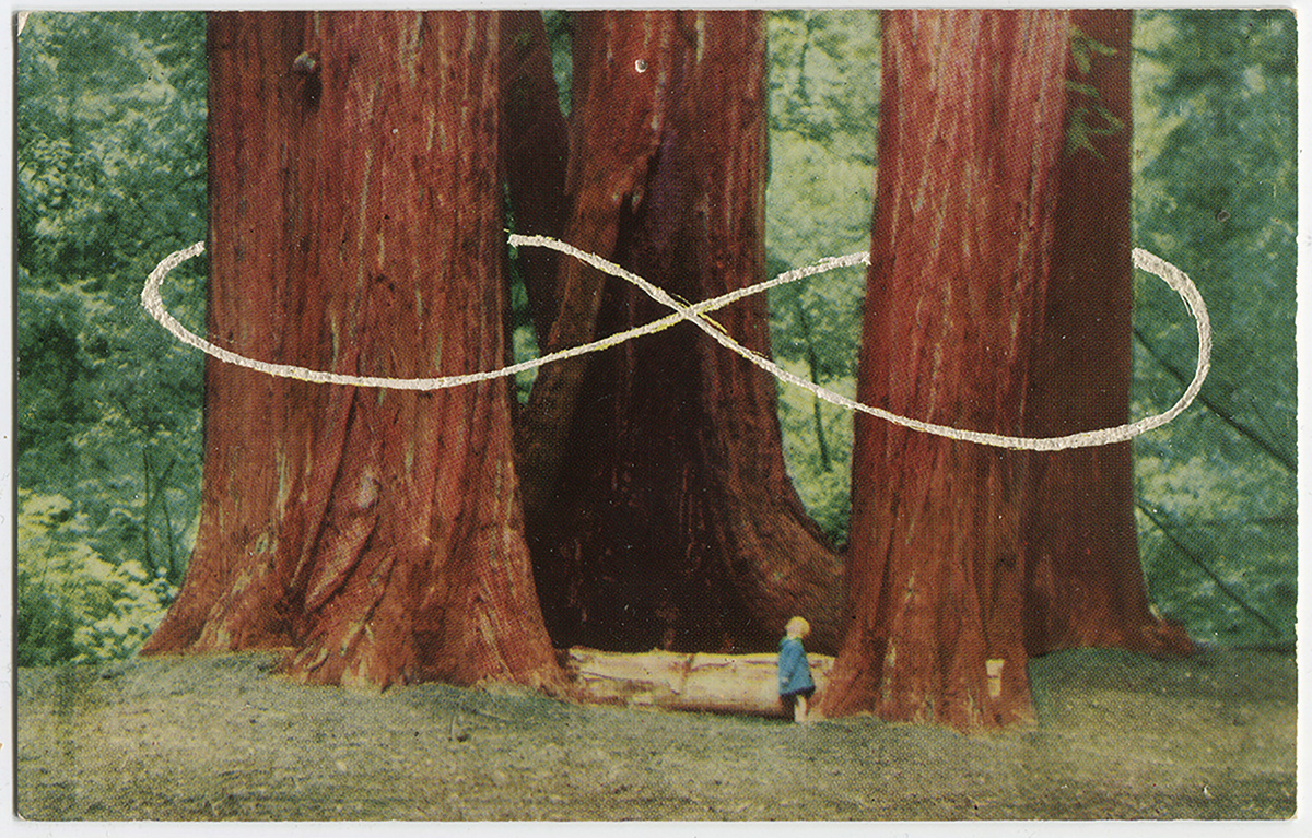 Carved Postcards . 2015