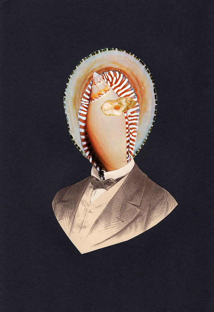Fabulous Monster 12 . AR Zak Margolis
