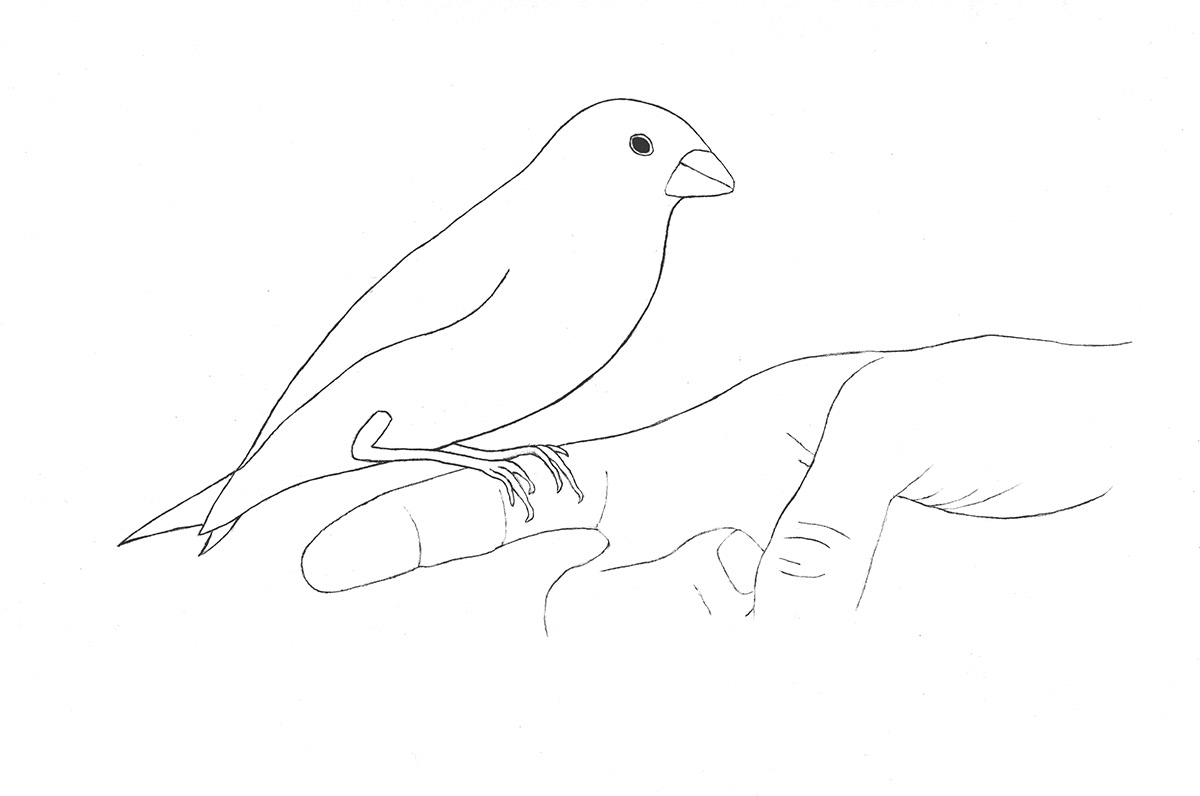 Empathy Drawings . pencil . 2004