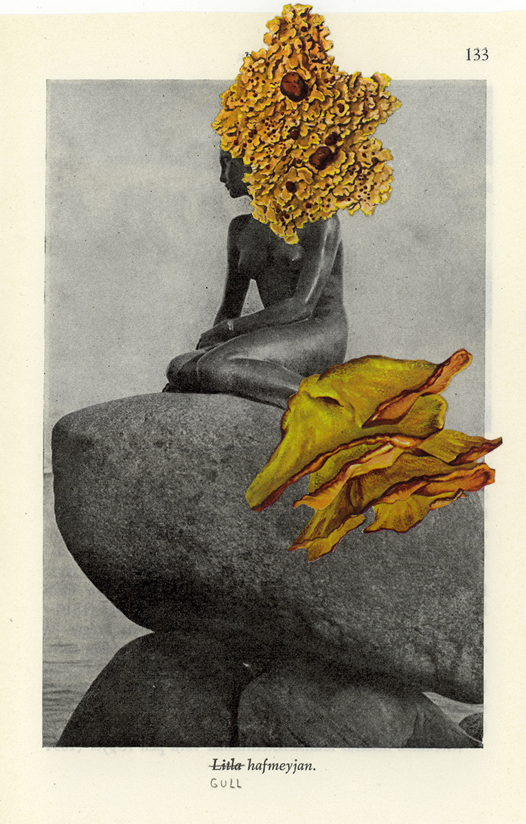 Gold Mermaid . Iceland . 2007