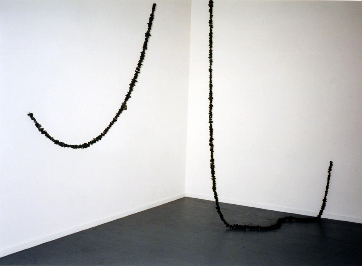 6 of one, a half-dozen of the other . chunks of trees burnt in forest fire . Nine Gallery at Blue Sky Gallery . Portland . 2004