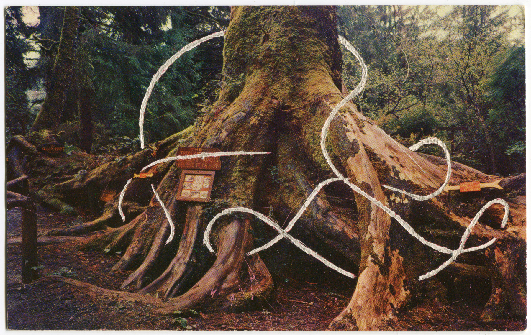 Carved Postcards . 2015