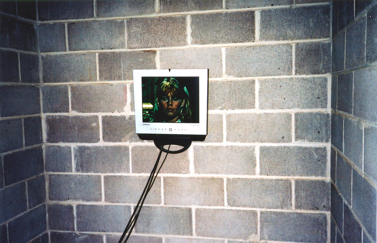 Core Sample . video installation in vault - animation over top of Bardot clip . 2003