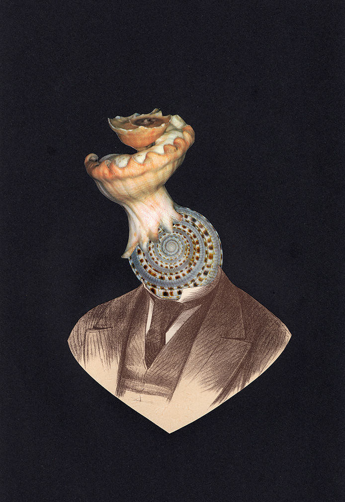 Fabulous Monster 04 . AR remix by Théo Uchôa