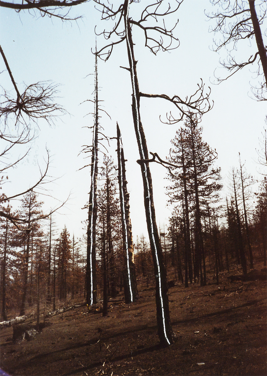 Scratch drawing on pictures . Caldera Residency . 2004