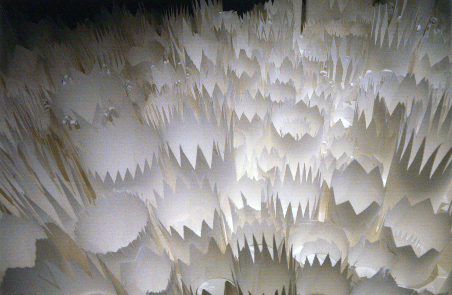 Portland Art Museum Biennial . 1000 Crowns . 2001