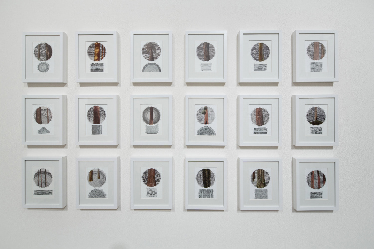 Everything is Water . Elizabeth Leach Gallery . 2015