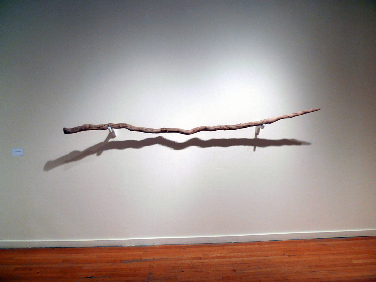 Love Letter to an Ocean Creature . So Close to the Glass and Shivering . Marylhurst University Art Gym . 2010