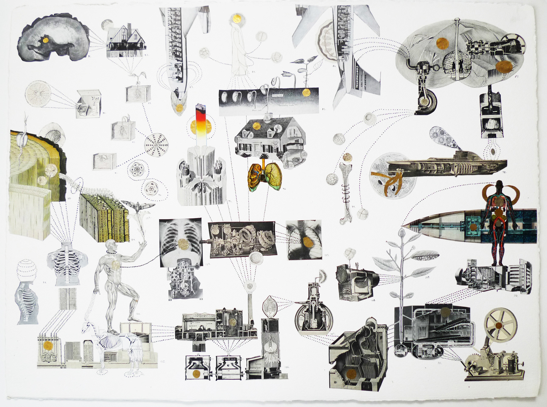 Cutaway World . 2015