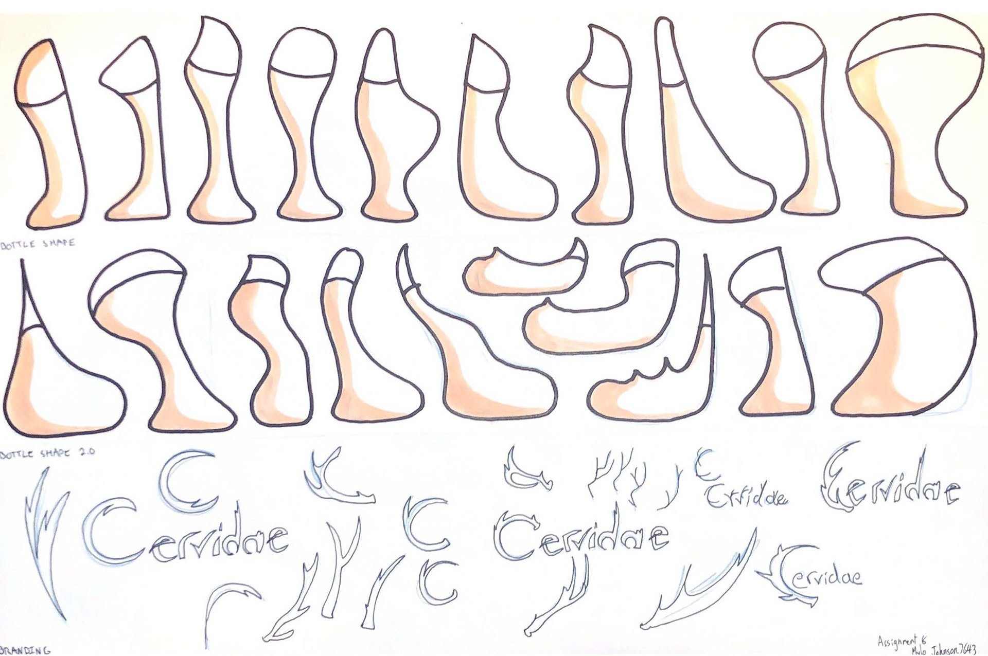 Cervidae exploration.