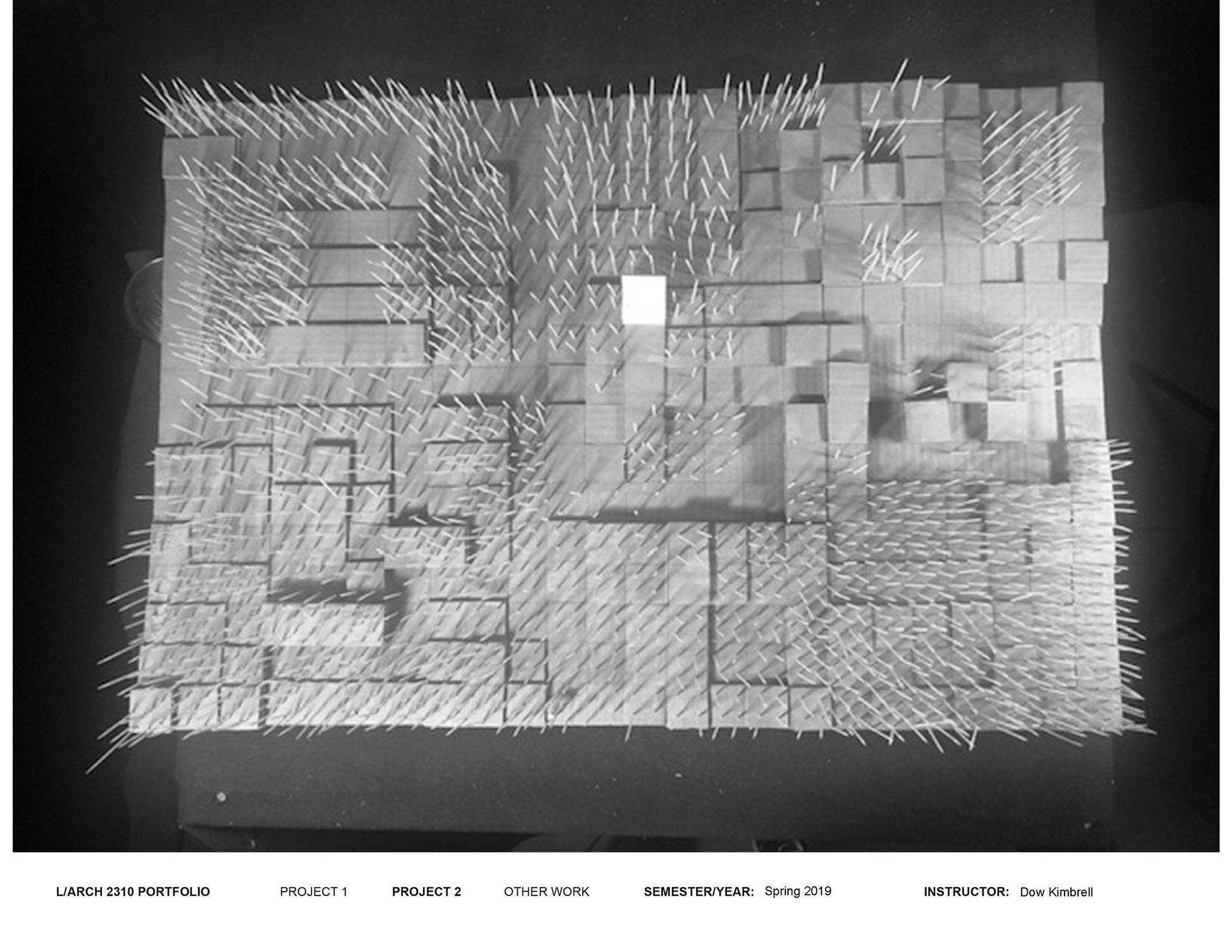 Vegetation map.