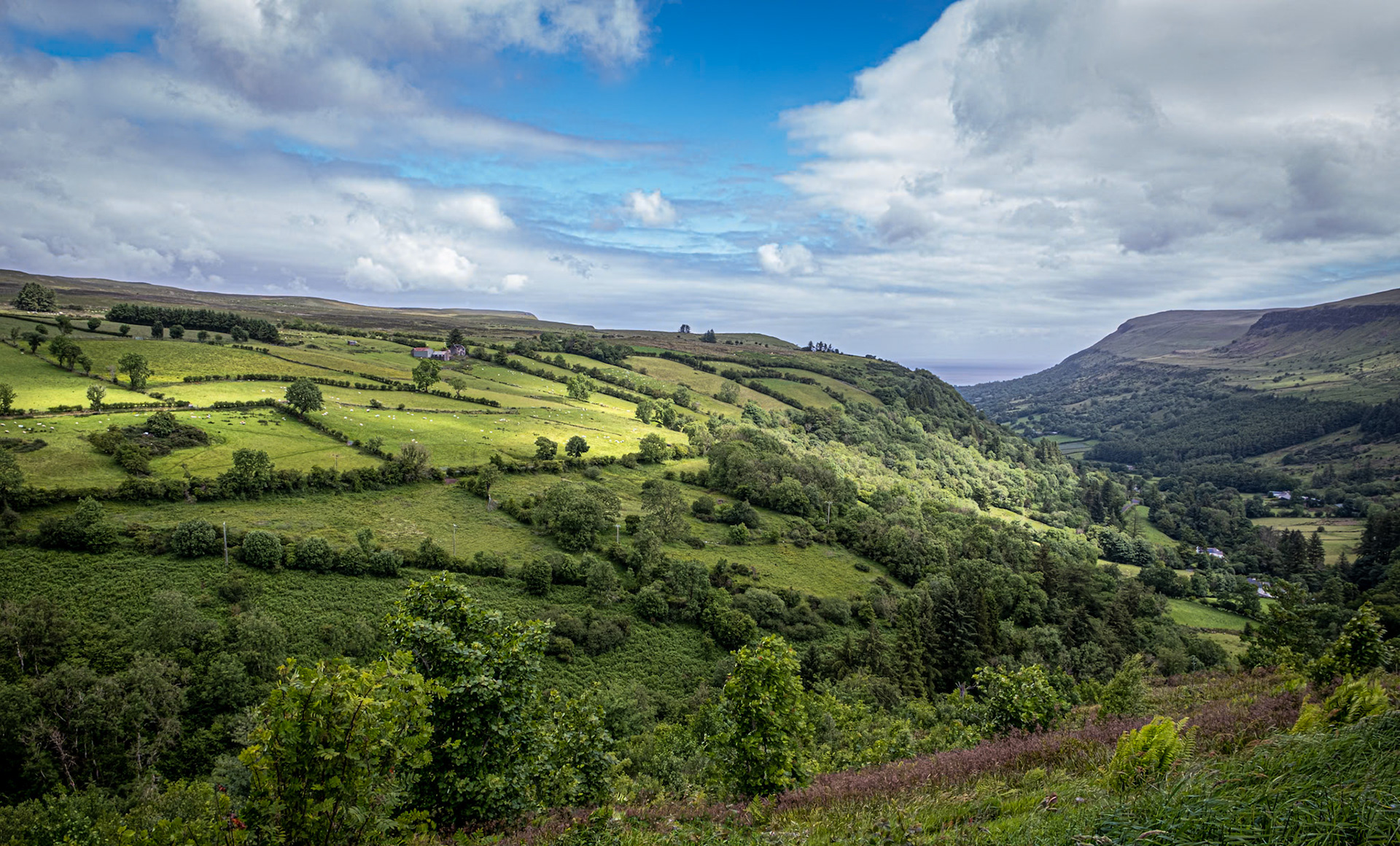 Glenariff Forest Park