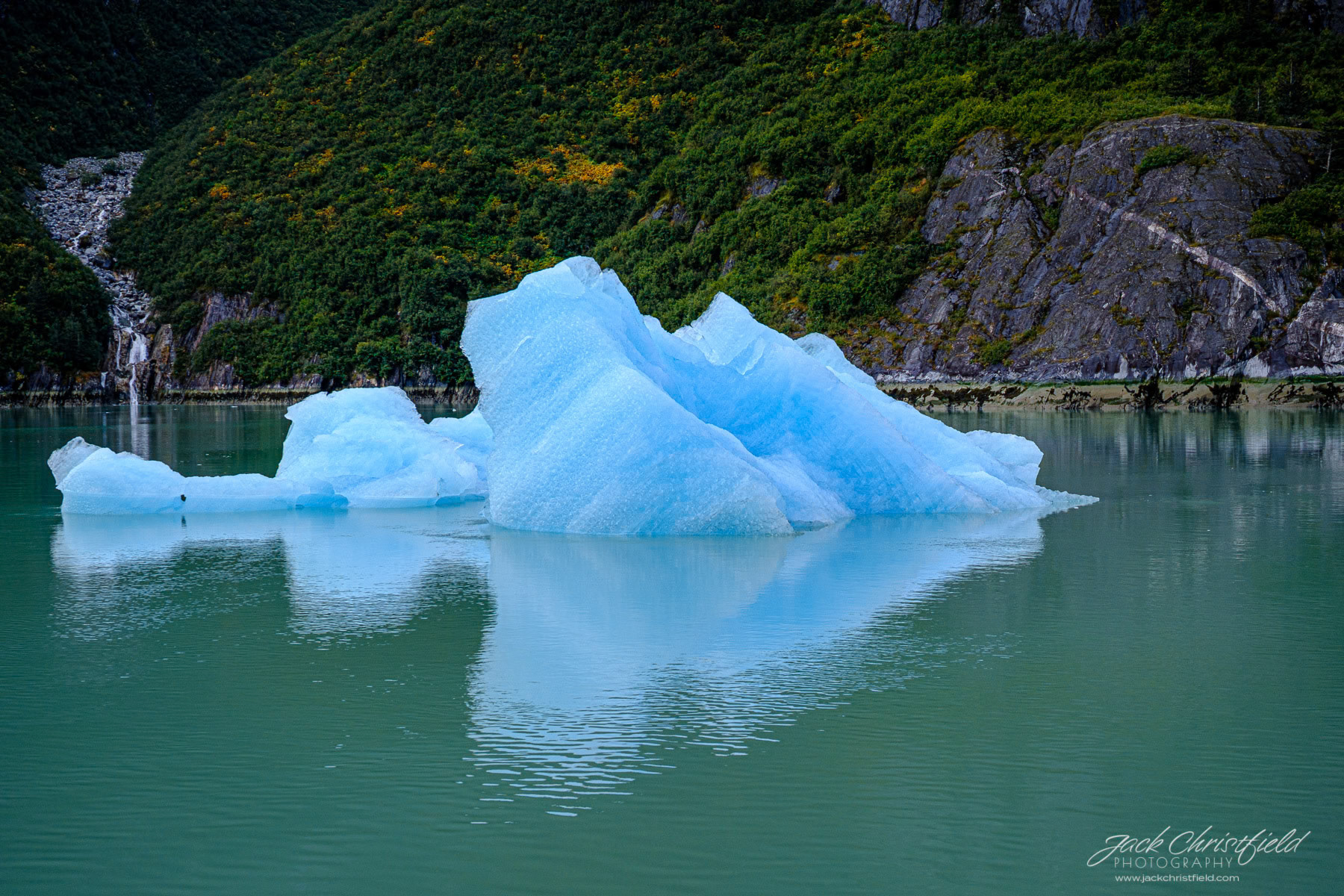 Tracy Arm and Sawyer Glacier