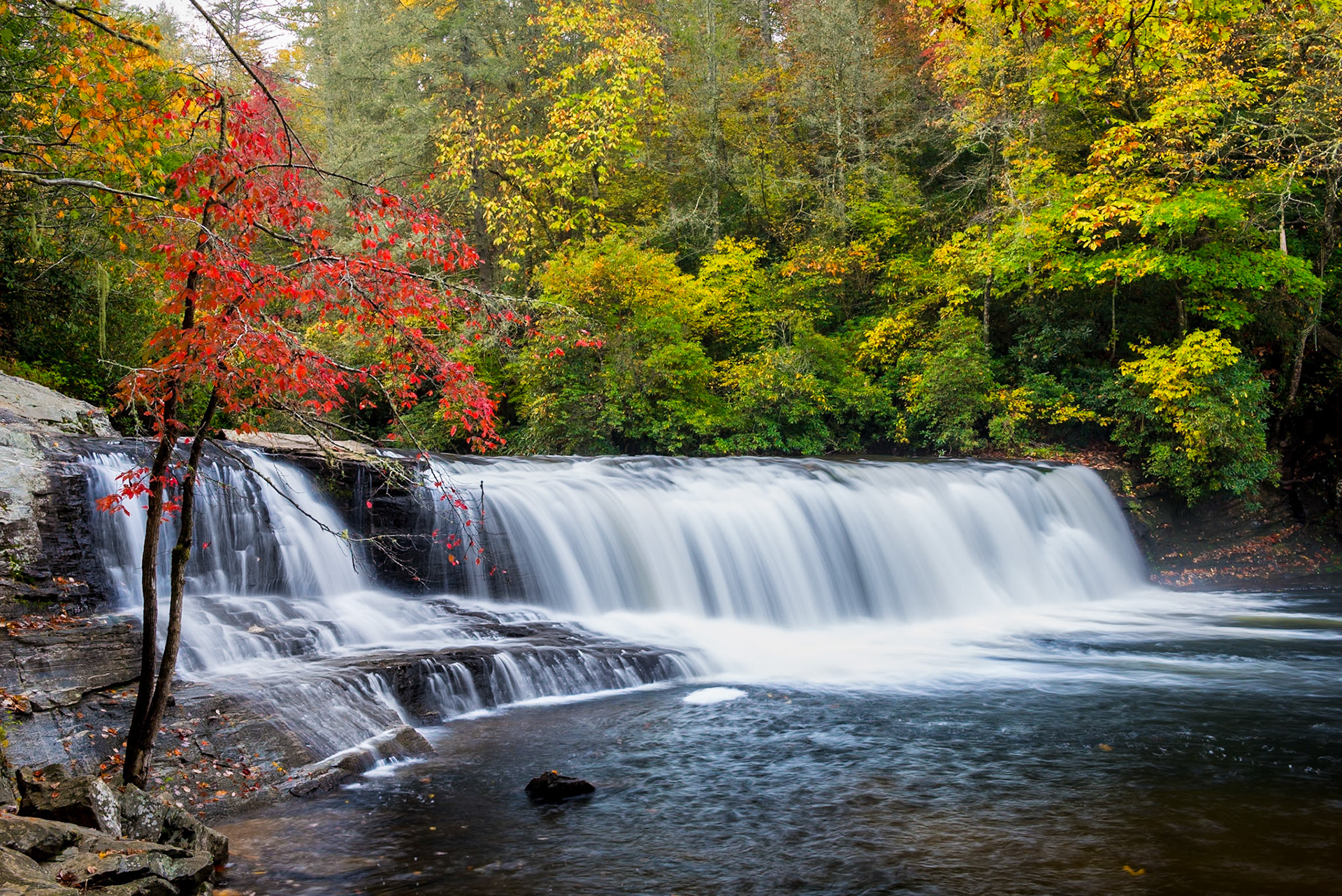 Brevard, NC
