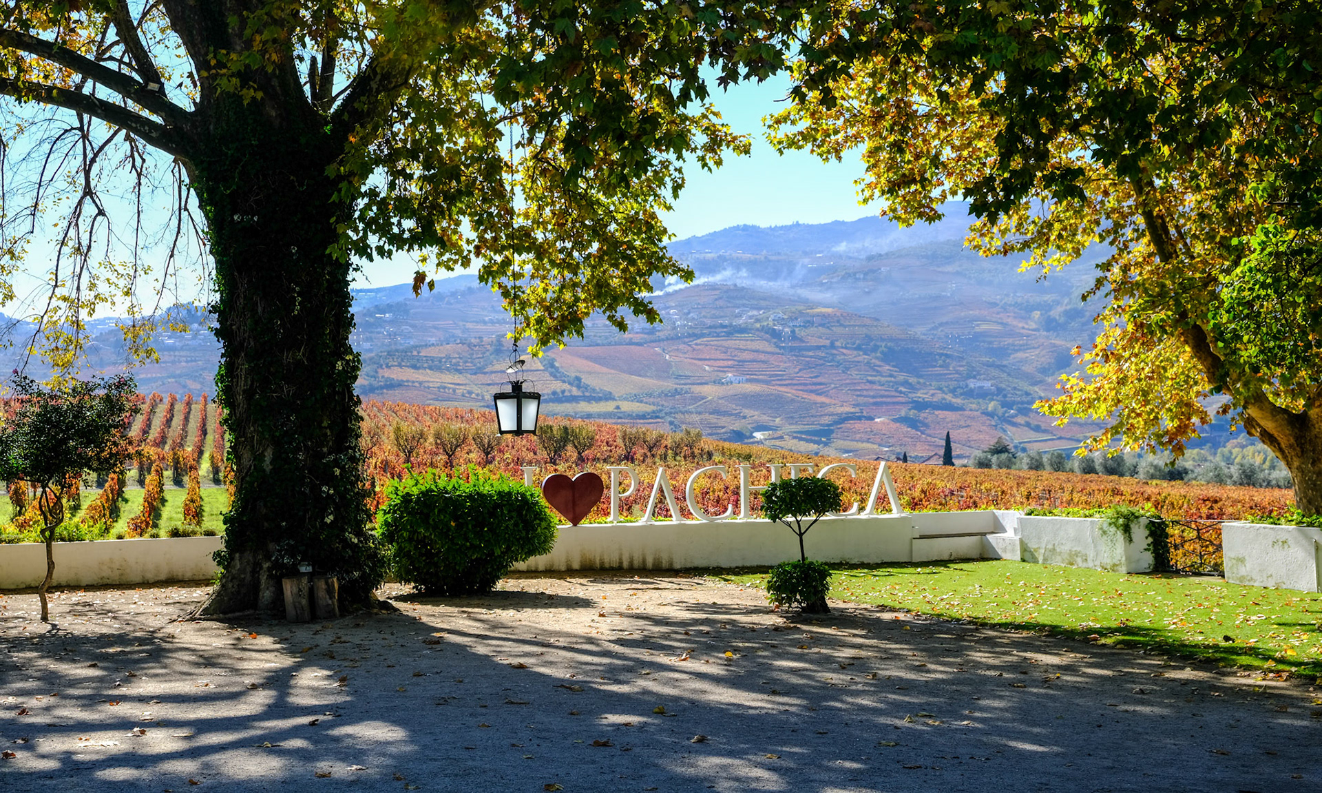 Scenes ashore on the Duoro