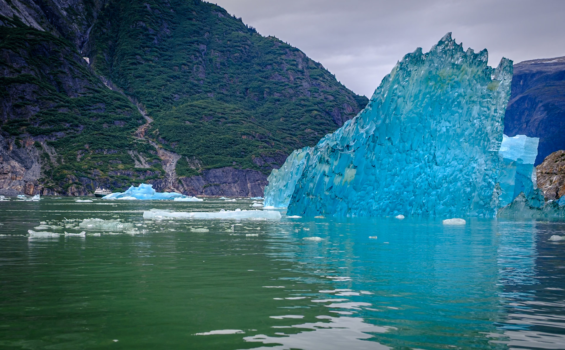 Tracy Arm and Sawyer Glacier, Alaska